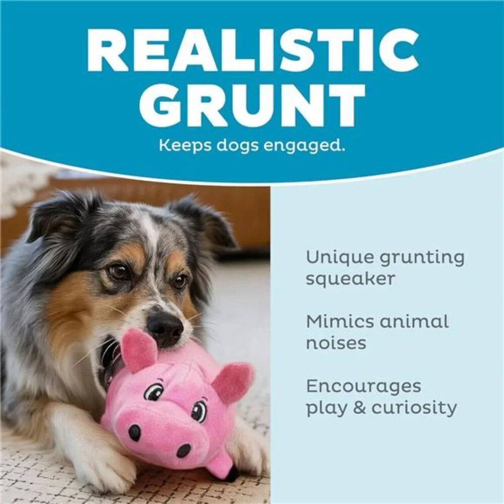 Hound Fattiez Pig Plush Squeaky Dog Toy, Small